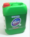 Domestos 5L